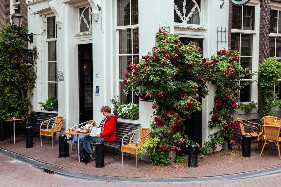 Amsterdam: 1.5-Hour Private Kick-Start Tour with a Local - Local advice that can save you time and money