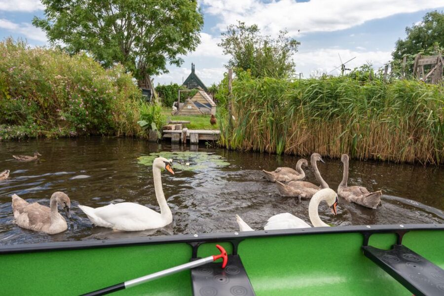 Amsterdam 5-Hour Guided Canoe Trip in the Wetlands - Is $105 a fair price?