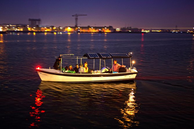 Amsterdam 90-min Private Canal Cruise with Live Guide and Drinks - The Amstel and the Dancing Houses