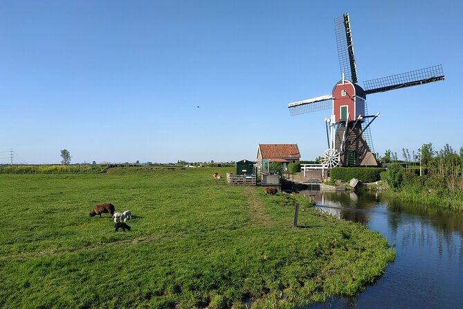 Amsterdam and Countryside Private Full-Day Tour by luxury car - Timing, Pickup, and Practical Details
