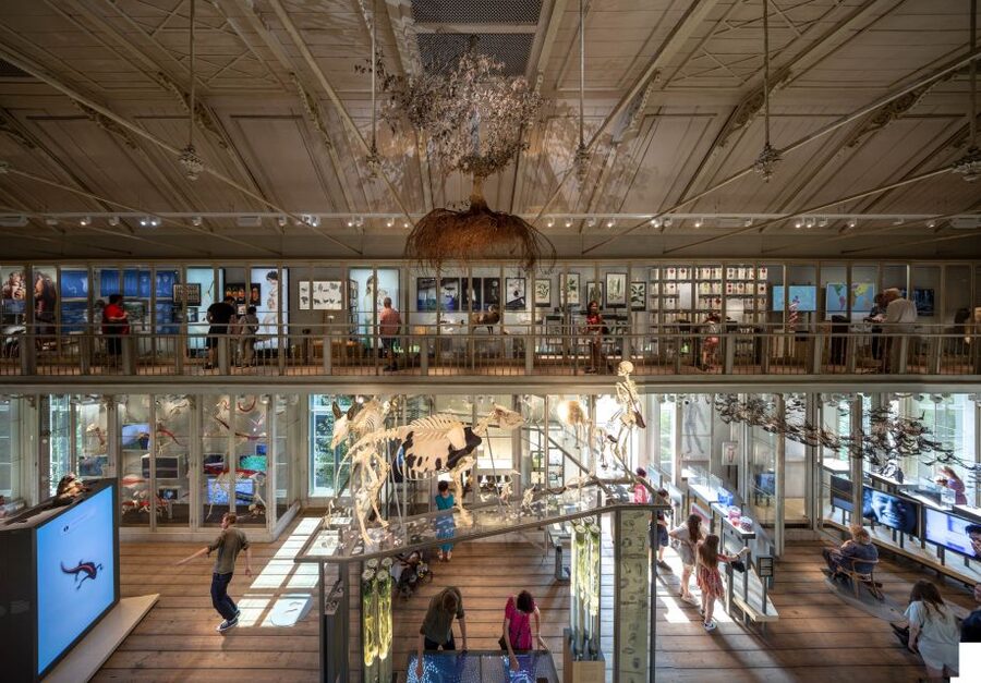 Amsterdam: ARTIS-Groote Museum Entry Ticket - Key points to know before you go