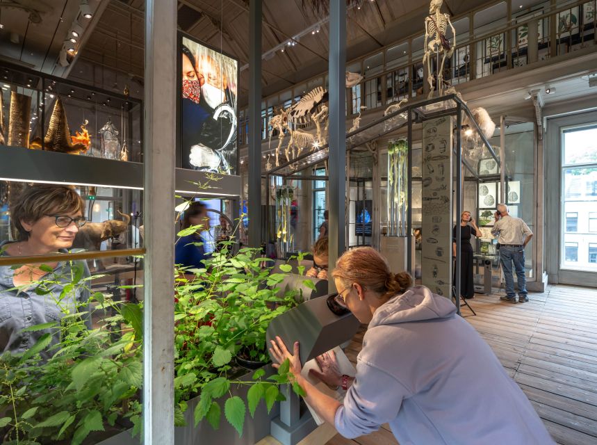 Amsterdam: ARTIS-Groote Museum Entry Ticket - Is the $21 ticket good value?