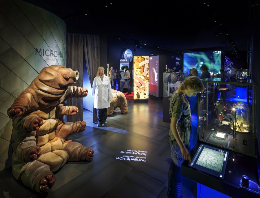 Amsterdam: ARTIS-Micropia Microbe Museum Entry Ticket - Stamp collecting keeps children moving