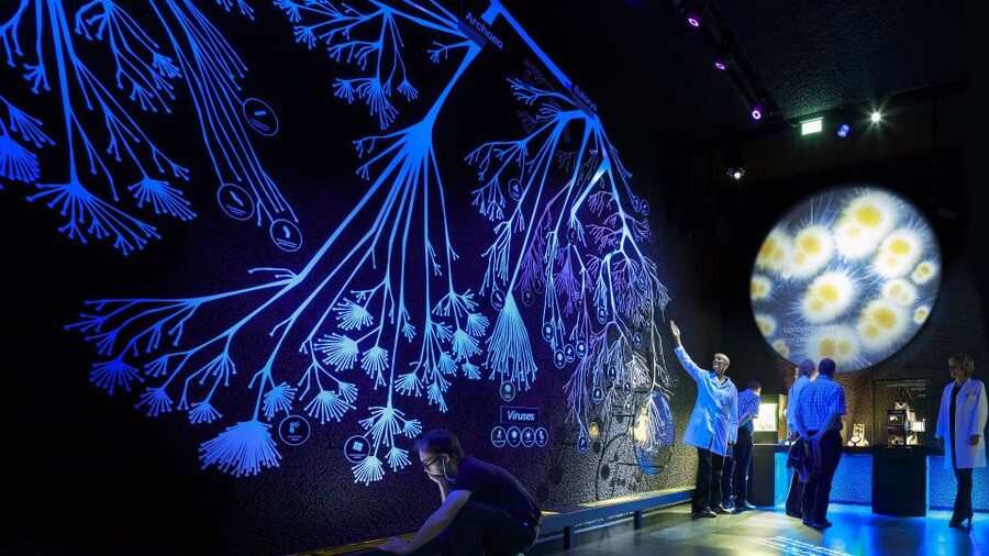 Amsterdam: ARTIS-Micropia Microbe Museum Entry Ticket - Small practical points worth knowing