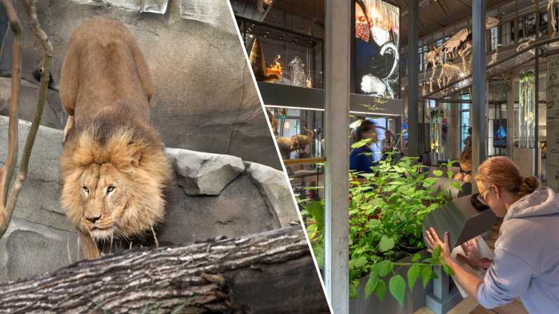 Amsterdam: ARTIS Royal Zoo and ARTIS Groote Museum Ticket - Key points to know before you go