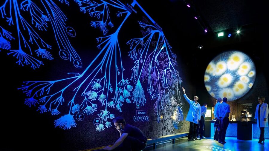 Amsterdam: Artis Royal Zoo & ARTIS-Micropia Combo Ticket - Micropia makes the invisible world visible