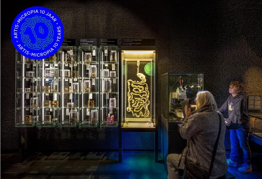 Amsterdam: Artis Royal Zoo & ARTIS-Micropia Combo Ticket - Getting there from central Amsterdam