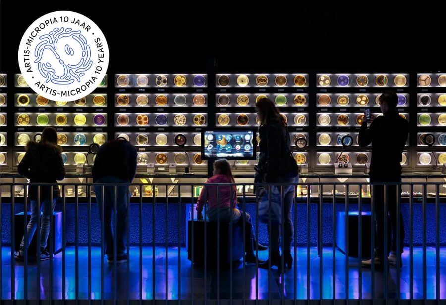 Amsterdam: Artis Royal Zoo & ARTIS-Micropia Combo Ticket - Elephants, lemurs, and the renewed animal areas