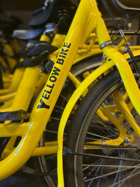 Amsterdam Bike Rental: Central Station & City Center - Who should book this bike rental?