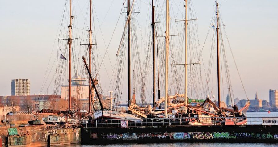 Amsterdam: Bike Tour (Noord) in German or English - Why Amsterdam Noord feels like another city