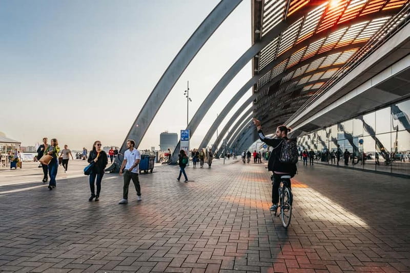 Amsterdam: Bike Tour with Optional Cruise in Small-Group - Vondelpark and the quieter side of the city