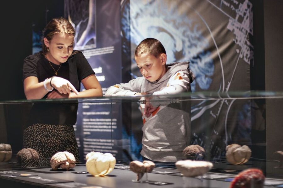 Amsterdam: Body Worlds Exhibition and Canal Cruise - Timing the two-hour experience