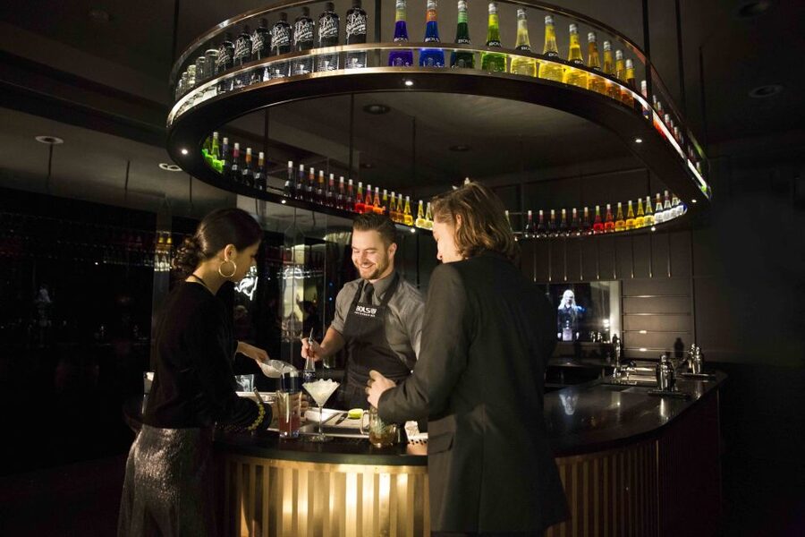 Amsterdam: Bols Cocktail Experience and Cocktail Workshop - How much do you actually get for $41?