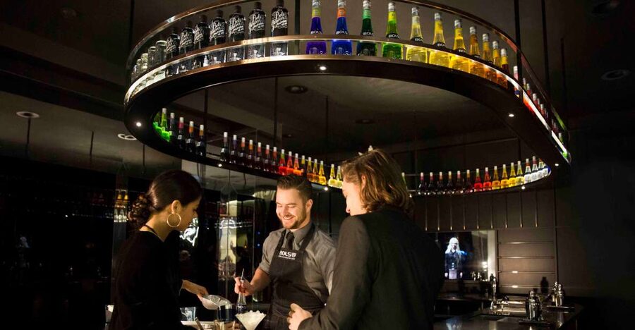 Amsterdam: Bols Cocktail Experience and Cocktail Workshop - Small drawbacks worth knowing