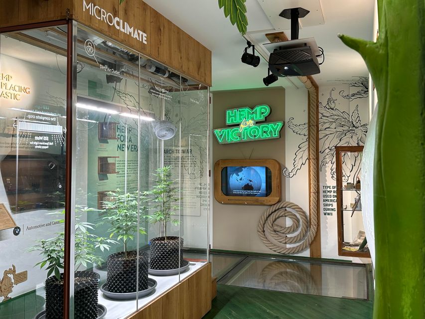 Amsterdam: Cannabis Museum Entry Ticket - Key points before you go