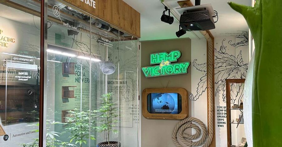 Amsterdam: Cannabis Museum Entry Ticket - Three floors of exhibits, live plants, and working displays