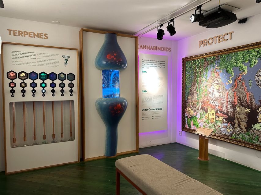 Amsterdam: Cannabis Museum Entry Ticket - Timing, stairs, and practical planning