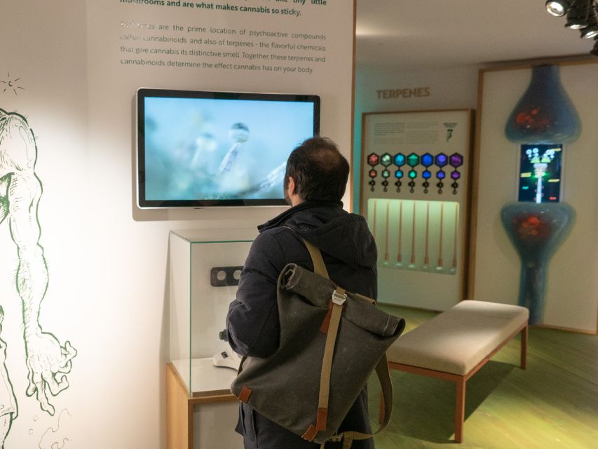 Amsterdam: Cannabis Museum Entry Ticket - Starting with cultivation, history, and the Dutch connection
