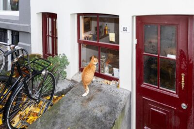 Amsterdam Central Walking Tour