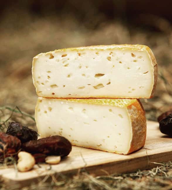 Amsterdam: Cheese, Windmill & Countryside Bike Tour - Who Will Enjoy This Ride Most?