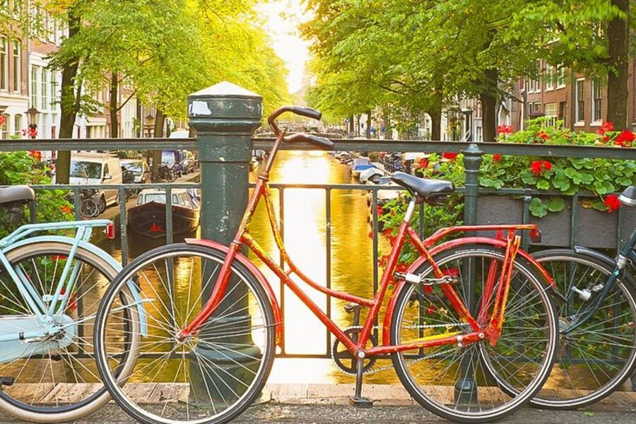 Amsterdam City Center Guided Walking Tour - 12 guests 2,5h - Oude Kerk, Nieuwmarkt, and Amsterdam’s trading past