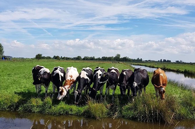 Amsterdam City & Countryside Tour: The Best of both Worlds - What the $568.07 group price really means