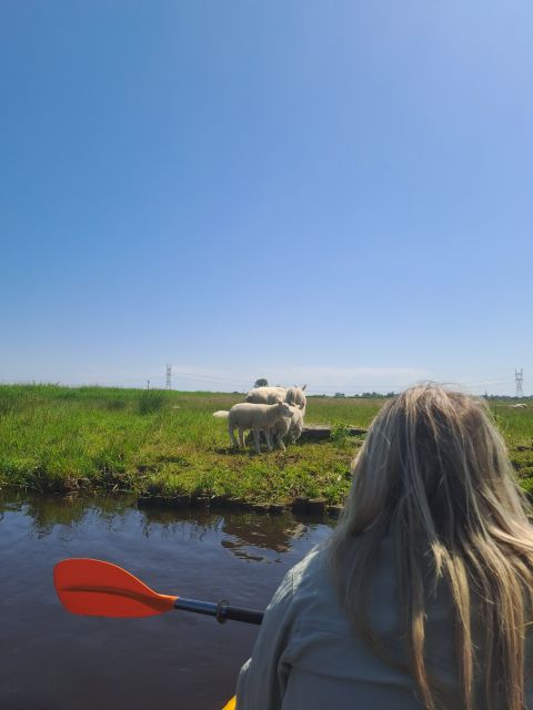Amsterdam: Countryside Bike and Kayak Guided Tour - Leaving ADAM Lookout for North Holland