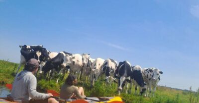 Countryside Bike and Kayak Guided Tour