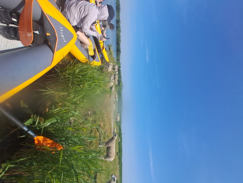 Amsterdam: Countryside Bike and Kayak Guided Tour - What makes Tristan’s guiding style useful