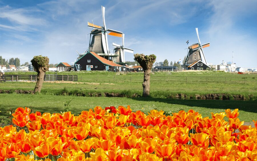 Amsterdam: Day Tour Keukenhof and Zaanse Schans Windmills - Key points to know before booking