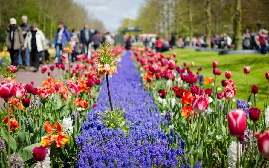 Amsterdam: Day Tour Keukenhof and Zaanse Schans Windmills - Zaanse Schans: windmills, workshops, and postcard views