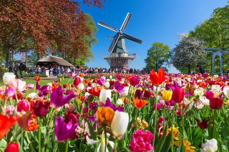 Amsterdam: Day Tour Keukenhof and Zaanse Schans Windmills - Who will enjoy this format most