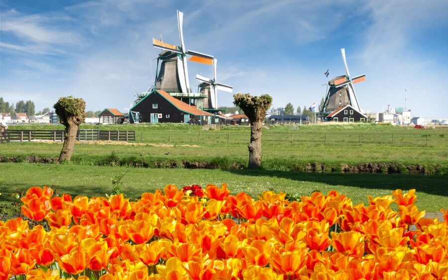 Amsterdam: Day Tour Keukenhof and Zaanse Schans Windmills - Should you book this day trip?