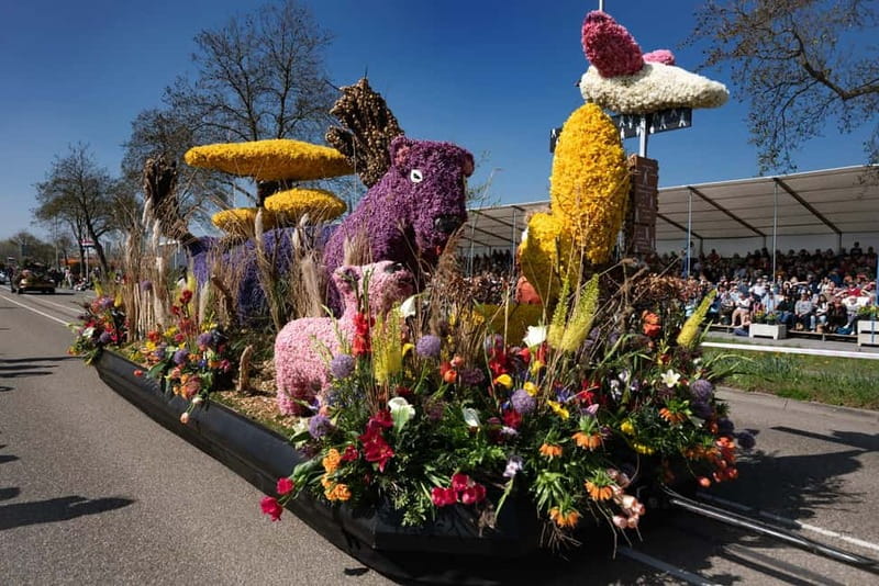 Amsterdam: Day Trip to Flower Parade & Keukenhof on April 18 - Should you book the Flower Parade and Keukenhof trip?
