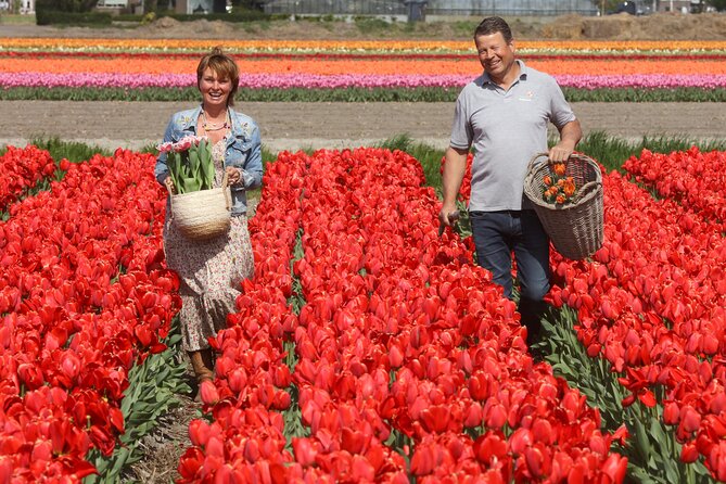 Amsterdam: Day trip to Tulip Farm, Keukenhof + Windmill Cruise - Why this day trip works so well