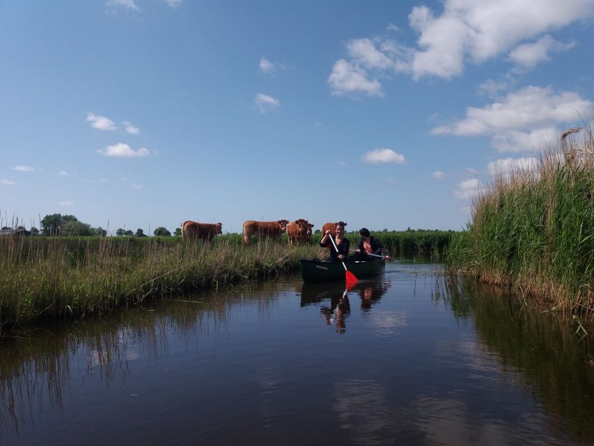 Amsterdam: Dutch Countryside Sunset Canoe Tour - Who will enjoy this canoe tour most?