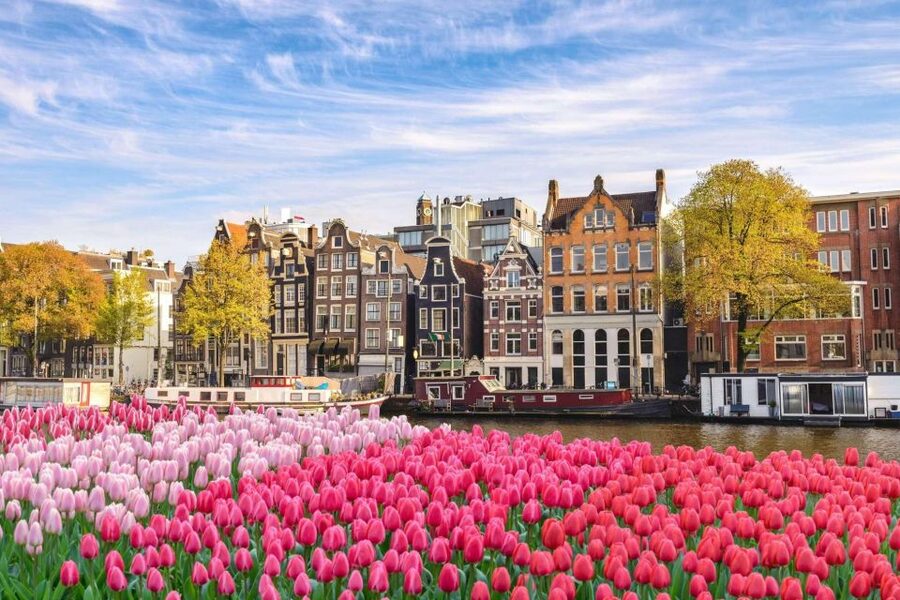 Amsterdam Family Friendly Historical Walking Tour - Is $235 Per Person Good Value?