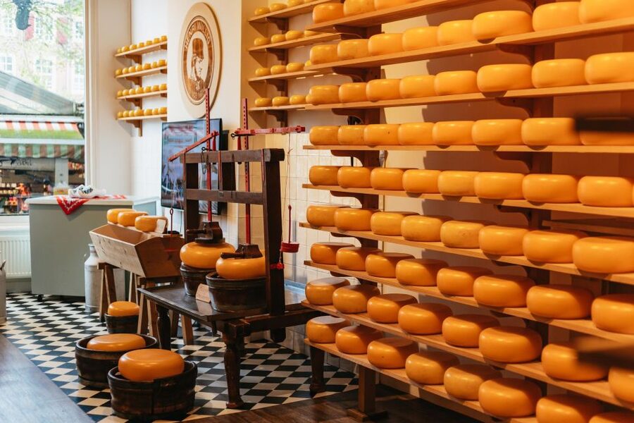 Amsterdam: Food and Culture Walking Tour with Tastings - Timing, group size, and the walking effort