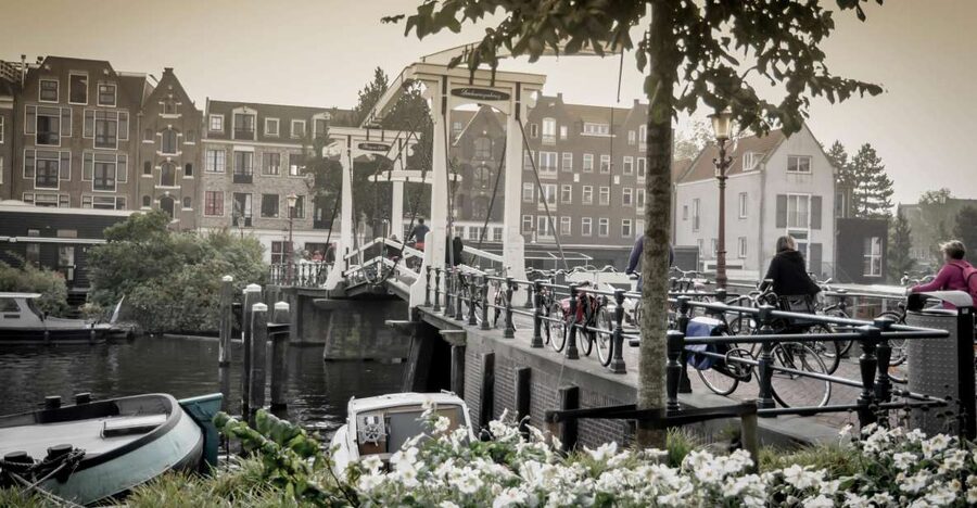 Amsterdam: Guided City Bike Tour in French - Starting at IJdok and riding the Western Islands
