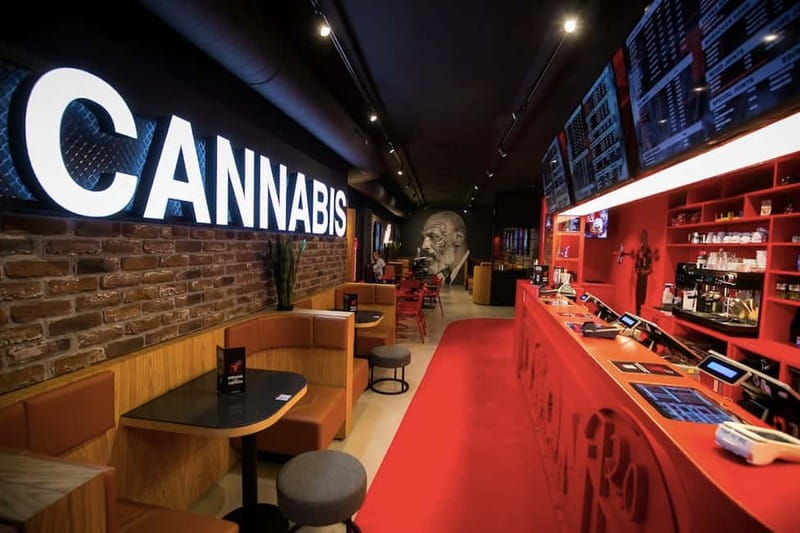 Amsterdam: Guided Ganja Walking Tour of Coffee Shops - Tyson 2.0 and the first coffeeshop stop