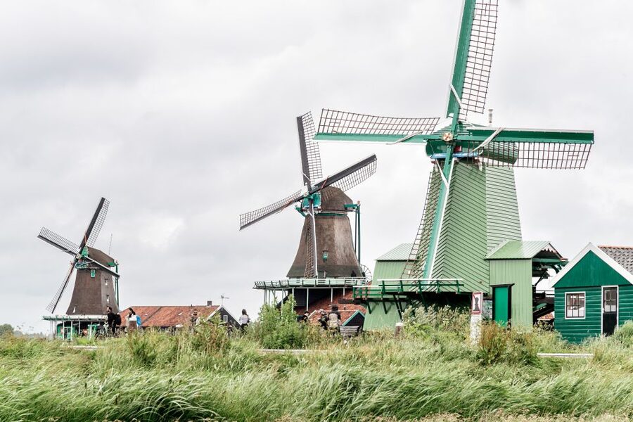 Amsterdam: Guided Zaanse Schans, Windmills & Cheese Tour - Free time for windmills, photos, and snacks