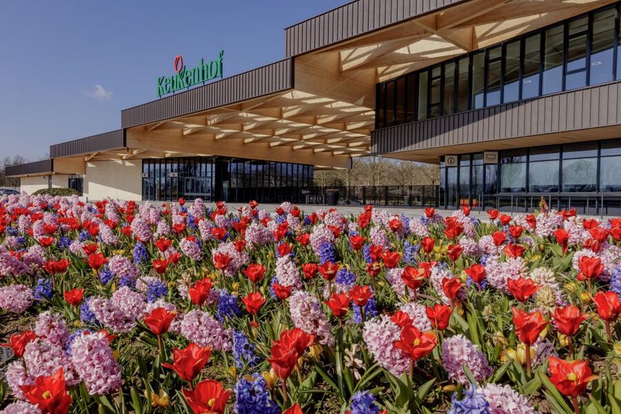 Amsterdam: Half-Day Flower Fields and Keukenhof Bicycle Tour - Why the bulb fields are the real highlight