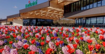 Half-Day Flower Fields and Keukenhof Bicycle Tour