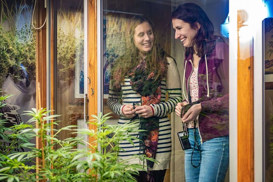Amsterdam: Hash, Marihuana, and Hemp Museum Entry Ticket - Starting with the collection of 9,000 objects
