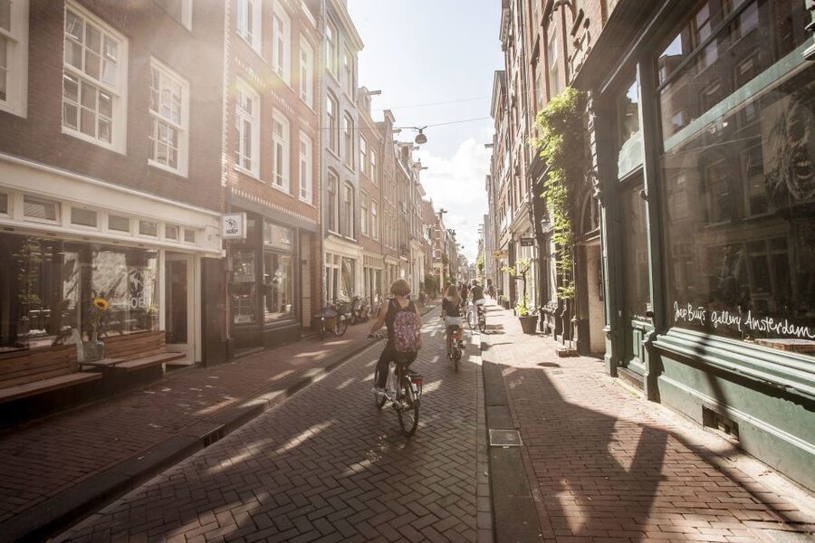Amsterdam: Hidden Gems & Highlights Guided Bike Tour - Vondelpark’s Open Paths and Easy Breathing Room