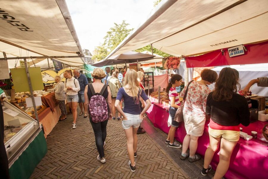 Amsterdam: Hidden Gems & Highlights Guided Bike Tour - Guides Make the Difference
