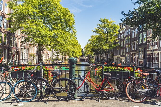 Amsterdam Highlights Small-Group Walking Tour - Starting under the bull at Beursplein