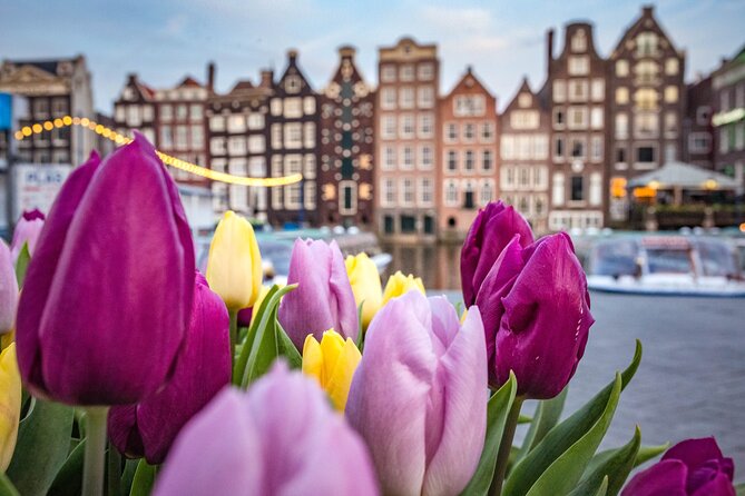 Amsterdam Highlights Walking Tour - Key points to know before you book