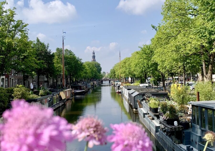 Amsterdam: Jordaan District Tour with a German guide - Van Brienenhofje and the return walk