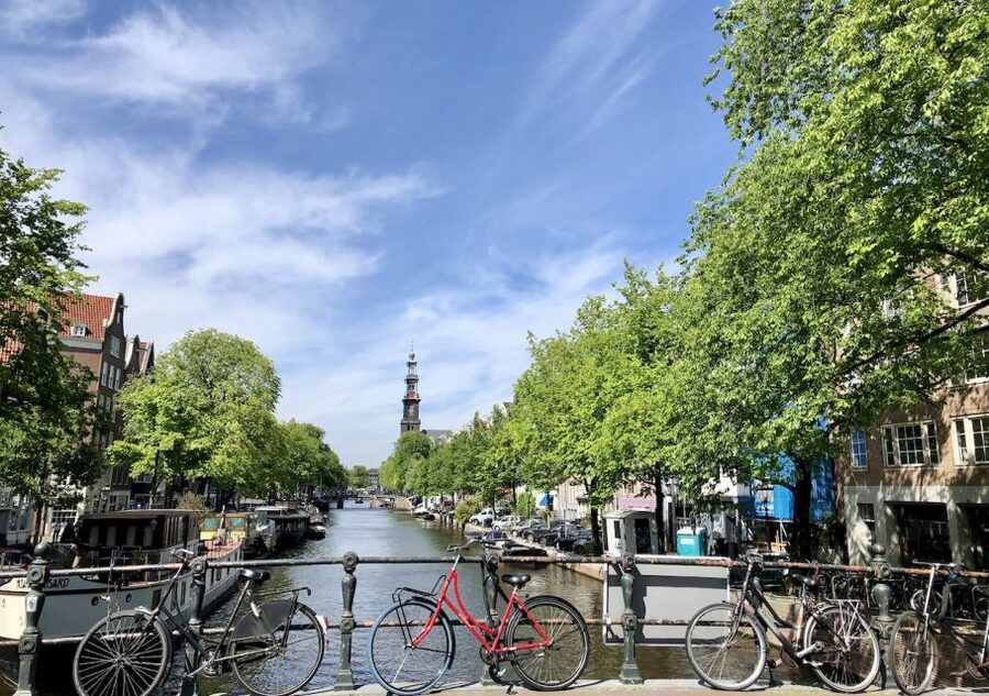 Amsterdam: Jordaan District Tour with a German guide - Tulip mania in a secret garden